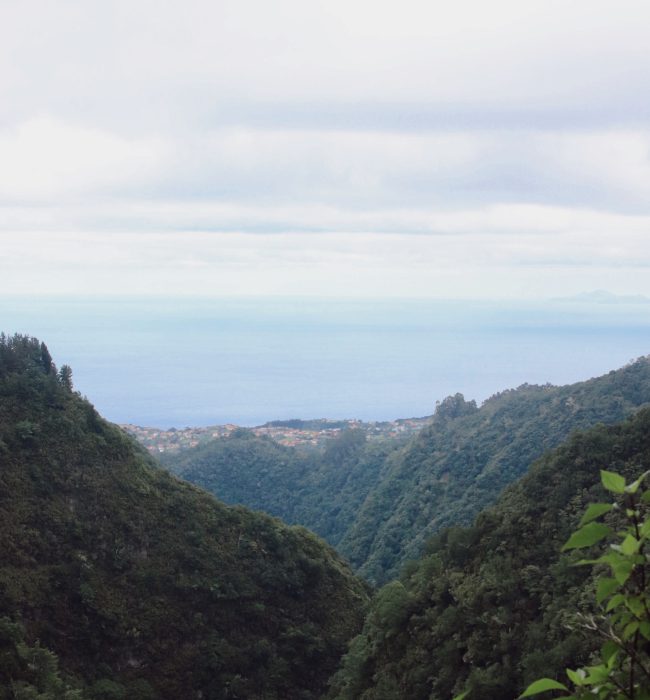 PR9 – Levada do Caldeirão Verde in Madeira