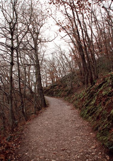 The path to Burg Eltz